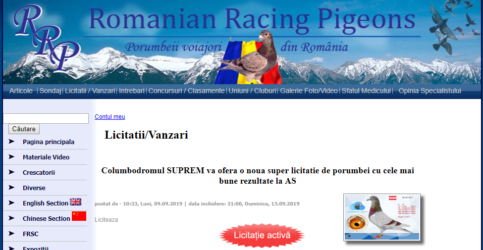 Romanian Racing Pigeons